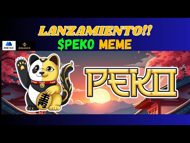 OPORTUNIDAD!! Próximo Lanzamiento PEKO token meme - 5X-1000X?