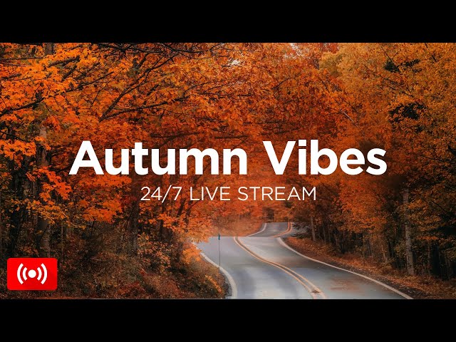 Spring Vibes Mix 2025 🌸 24/7 Live Stream 🌿 Chill Spring Music to Relax by We Are Diamond