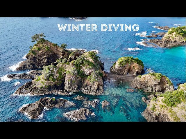 FAR NORTH CRAYFISH DIVING AND SPEARFISHING (Remote NZ)