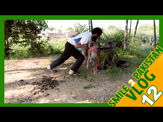 Smile 2 Pakistan- Village life: VLOG #12 (FINAL)