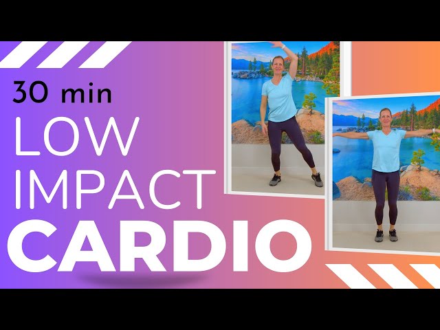 30 Minute LOW INTENSITY CARDIO for Fat Loss at Home // Beginner Friendly