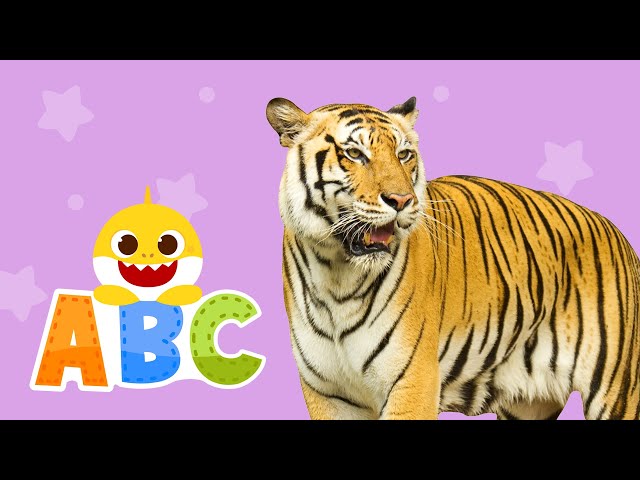 Learn ABCs with Baby Shark | Learn Animals | ABC Song | Baby Shark ABC for kids