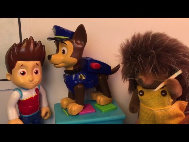 Paw Patrol Ryder Takes Chase to the Veterinary to get a Rabies Shot