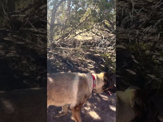 Temple Canyon Park