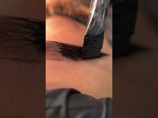 Eyebrow Shading with Henna / How to use the precision brush