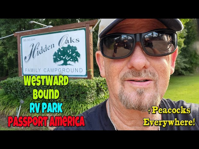 Hidden Oaks Family Campground a Passport America Park Hammond, LA Ep 228 Westward Bound Solo RVing