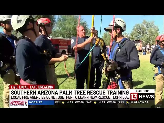 Southern Arizona regional palm tree rescue training