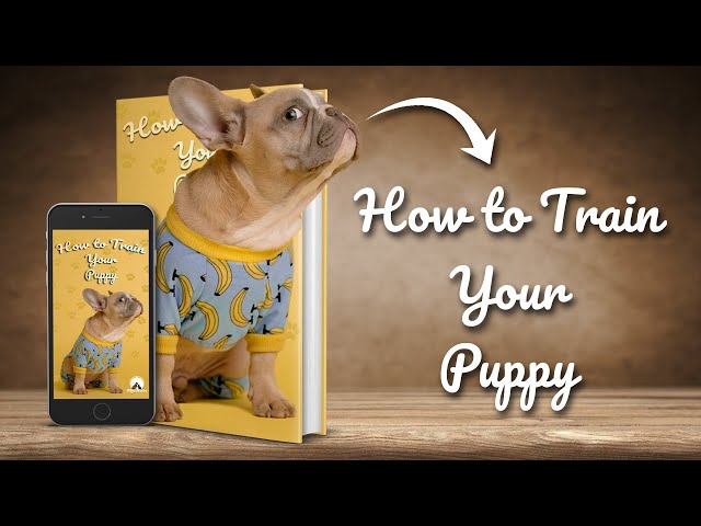 How to Train Your Puppy - Basic Dog Training  TOP 10 Essential Commands Every Dog Should Know