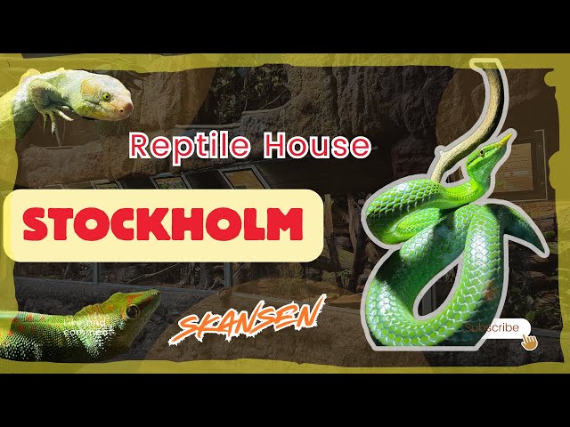 Stockholm Reptile House (Part 2) Skansen Aquarium；斯德哥尔摩爬馆（二）