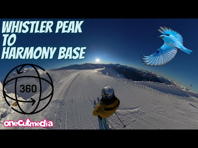 360 Degree tour From Whistler Peak to Harmony Base with Bluebird Skies