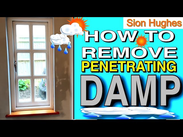 How to remove penetrating damp