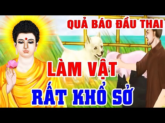 Nhân Quả Báo Ứng Không Bỏ Sót Một Ai, Quả Báo ĐẦU THAI LÀM VẬT...Rất Khổ Sở | Gieo Nhân Gặt Quả