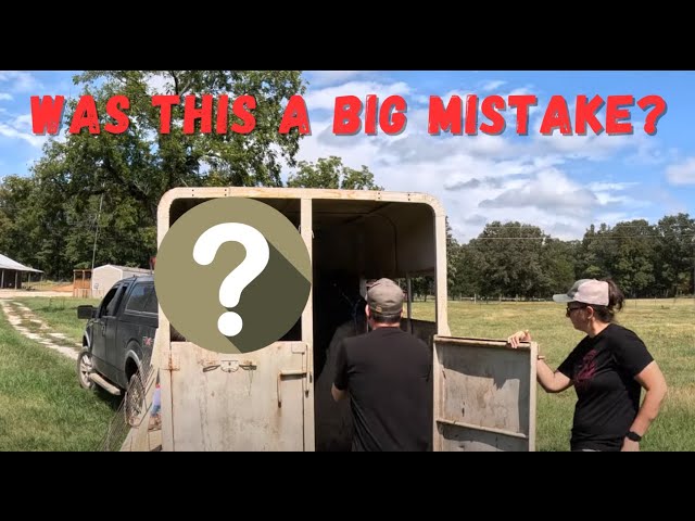 Sometimes You Have to Throw Away The Plan | Three Little Goats Homestead Vlog