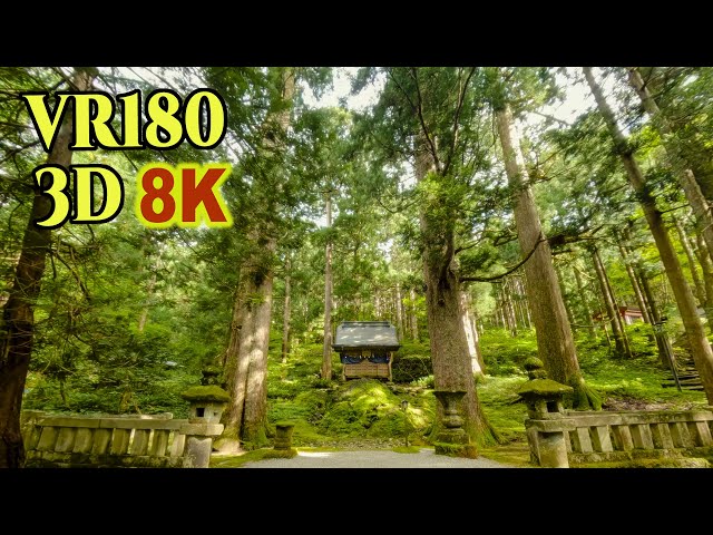 [ 8K 3D VR180 ] 樹齢約500年の杉に囲まれた立山信仰の「雄山神社 芦峅中宮」Ashikura Oyama Shrine surrounded by cedar trees