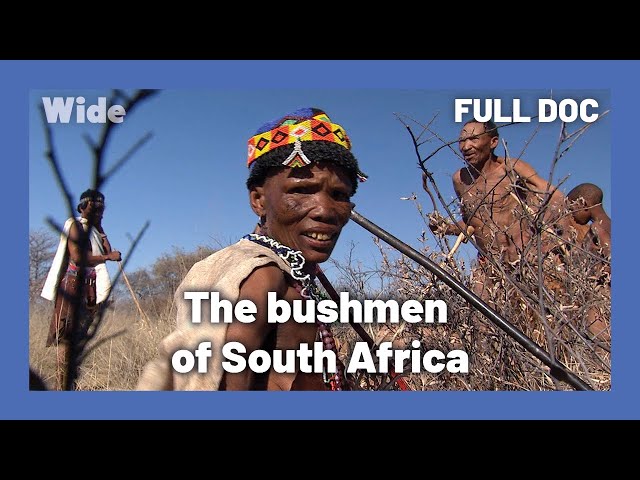 One of the world's oldest cultures: bushmen | WIDE | FULL DOCUMENTARY