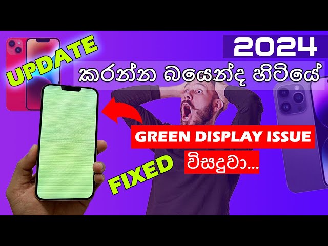 iPhone Green Screen After Update Fixed | iPhone 13 Serise | Iphone 14 Serise | 2024 | Sri Lanka