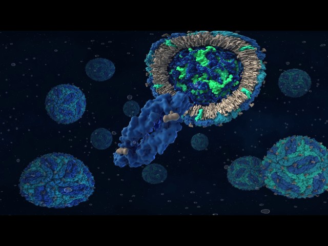 Zika Virus 3D VR. Virtual Reality Animation