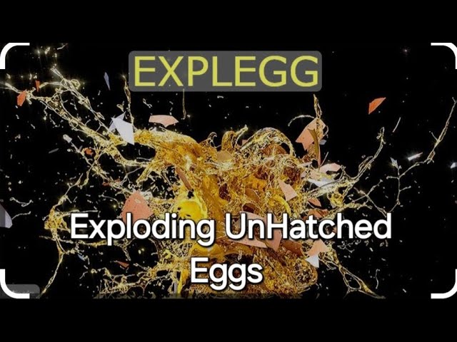 Insane EXPLODING Rotten Eggs + Newly Hatching Chickens, Quail