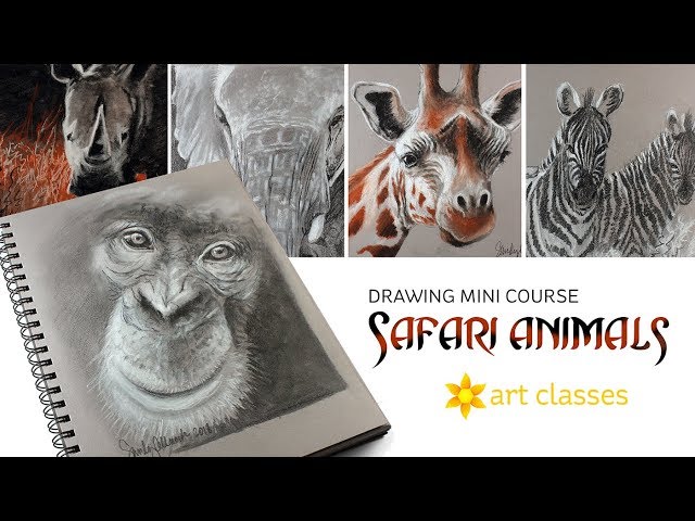 Drawing Mini Course: Safari Animals