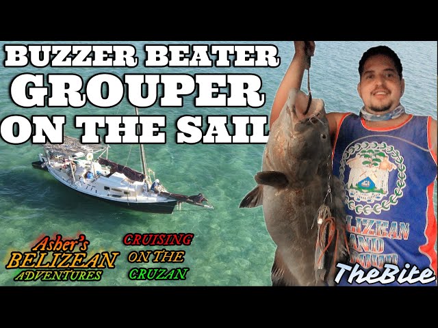 Brandon's Big Grouper !!! -  Cruisin On The Cruzan Sailing In Belize , TheBite