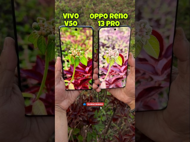 Vivo V50 Vs Oppo Reno 13 Pro Camera Test #vivo #oppo #vivov50 #opporeno13pro #trending #shorts