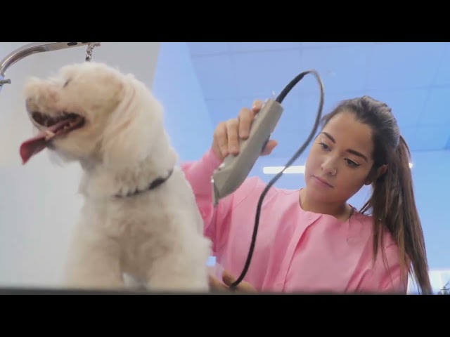 The Future of Pet Care AI & Robotics Revolution!