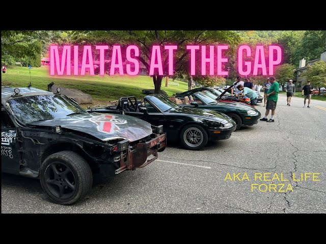 Miatas at the Gap Is Real Life Forza!