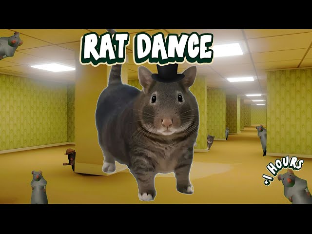 OiiAOiiA CAT X RAT DANCE | +1 HOURS 🐀