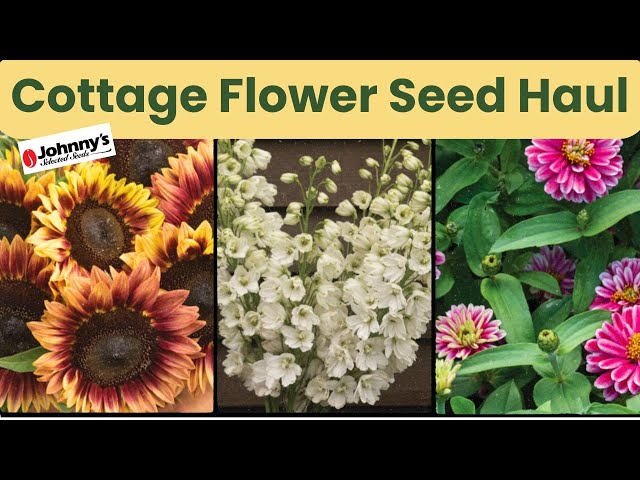 Johnny's Flower Seed Haul // Grow GORGEOUS Cut Flower GARDEN BOUQUETS