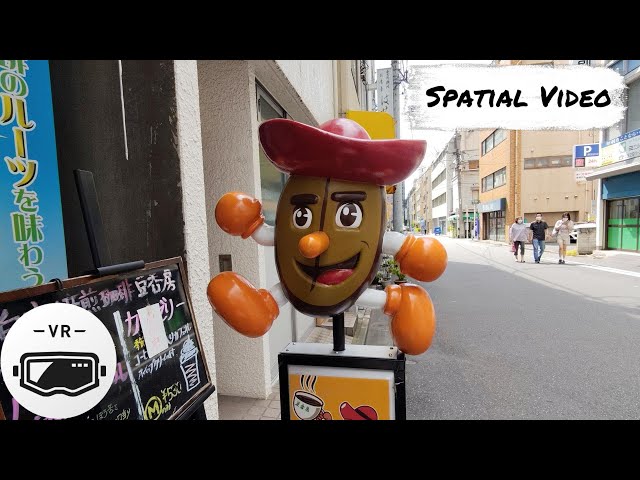 [VR180 3D] Spatial Photos of Books Town | Tokyo