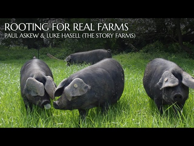 Rooting for Real Farms: Paul Askew & Luke Hasell (The Story Farms)