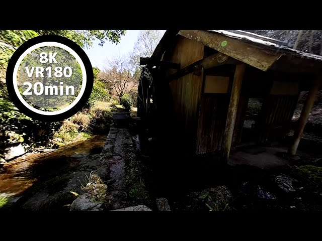 20 Min Meditation Watermill and clear stream VR180 8K Binaural ASMR