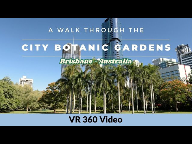 360° Tour: Brisbane(Australia) City Botanic Gardens - A Virtual Walkthrough 4K