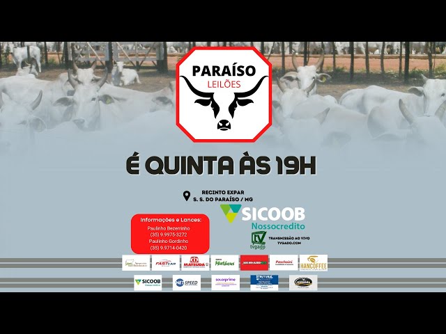 🎥 Leilão Presencial e Virtual Paraíso Leilões 🎬 tvgado.com