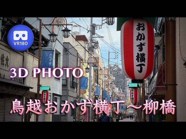 [3D VR180]  鳥越おかず横丁〜柳橋