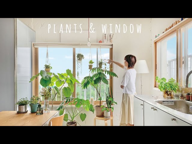 [Window and plants] House to live with foliage plants | DIY hanging plants