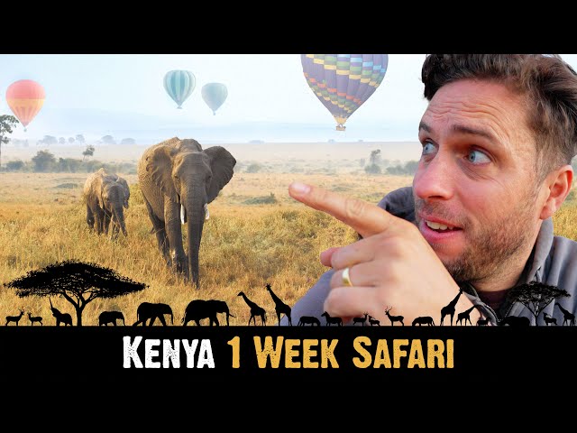 KENYA 🇰🇪 1 Week SAFARI | Maasai Mara, Lake Nakuru, Naivasha