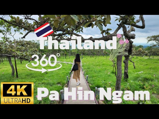 VR 360° Walking Tour of Thailand's Pa Hin Ngam National Park