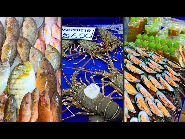 Amazing Fish Market in Pattaya | Thailand