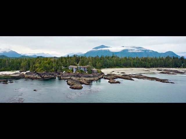 Wickaninnish Inn Live Stream (with Live audio)