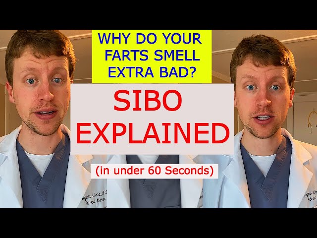 SIBO (Small intestine bacterial overgrowth) Explained in 60 Seconds