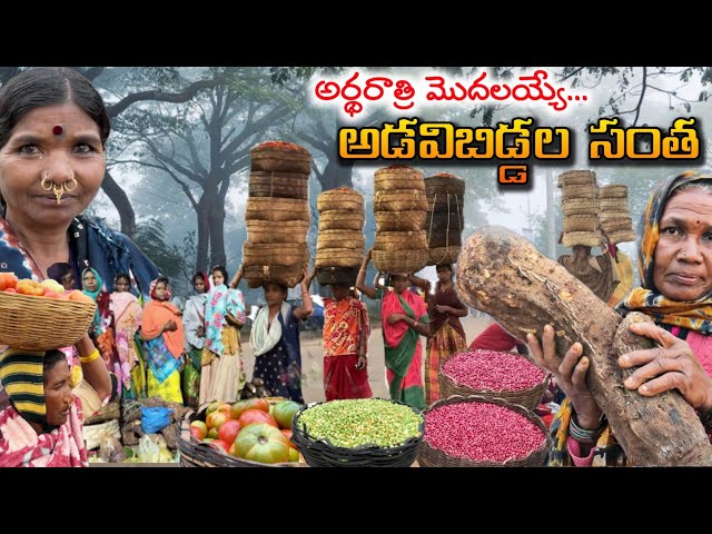 ఈ గిరిజనసంత చాలా ప్రత్యేకం || Midnight tribal Market in Pederu @TribalMirror