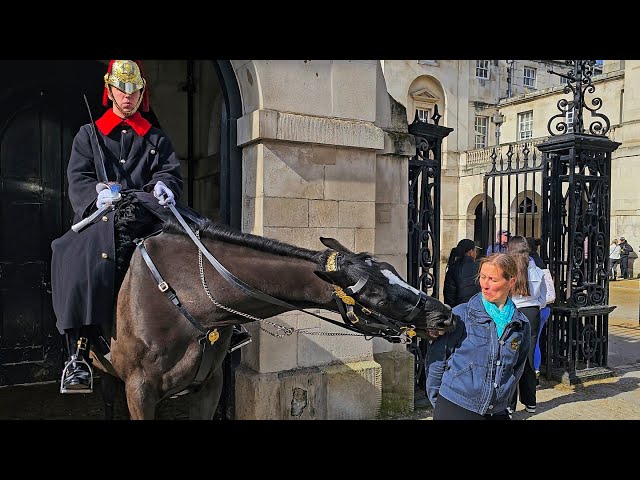 NOTORIOUS NIPPER ORMONDE is back! Tourists are shocked and surprised at Horse Guards!