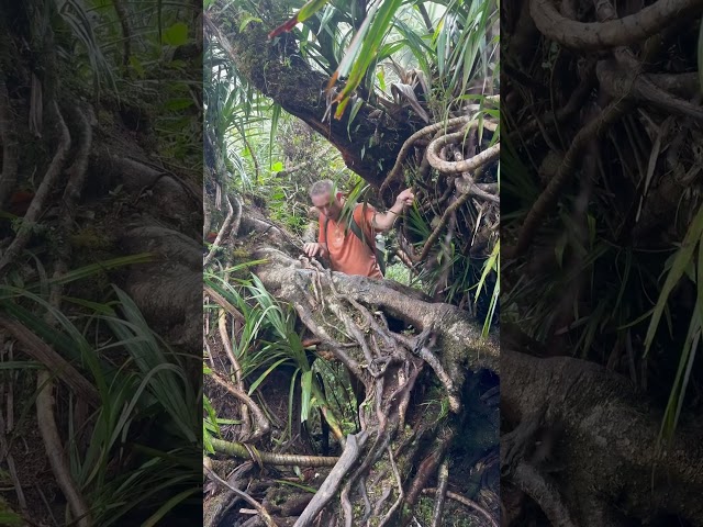 Mount Talinis Hike, Dumaguete 🇵🇭 #waterfall #vlog #philippines #hike