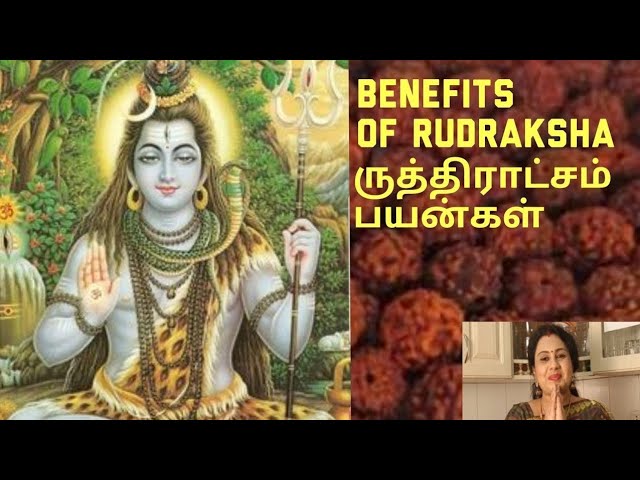 ருத்திராட்சம் பயன்கள்| Benefits of Rudraksha | Explains Anitha Pushpavaman Kuppusamy