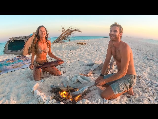 Tastiest Fish Catch & Cook (Day 10 on Remote Island)