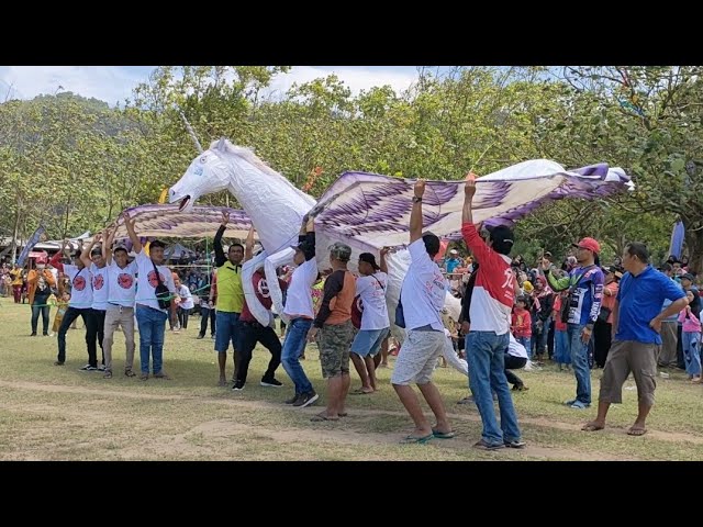 layangan kuda terbang bikin heboh penonton di pantai teleng ria pacitan 2022