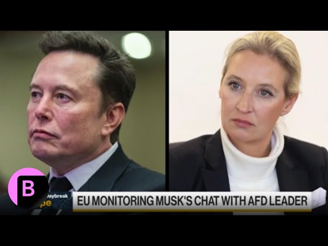 Musk's Conversation on X With AfD's Weidel: Here's What We Learned