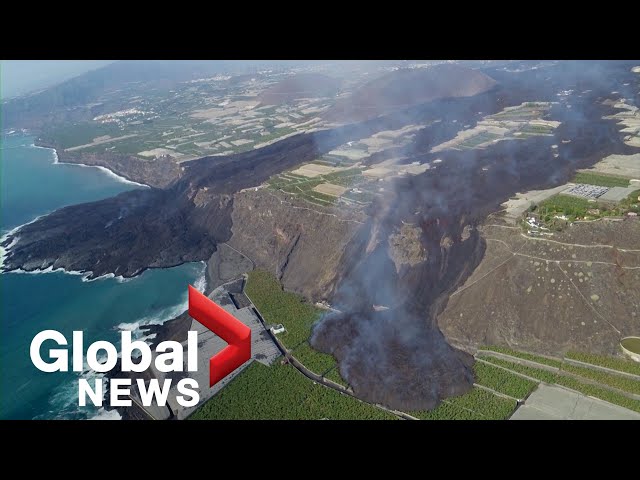 La Palma volcano: Drone video shows 2nd lava stream engulfing plantations on way to sea