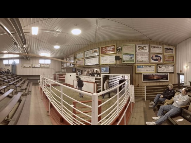 Look around a Sale Barn on Auction Day!  360 Degree Video